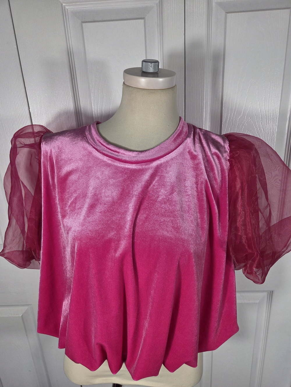 Maeve Anthropologie Pink Velvet Puff Sleeve Top L Sheer Organza Statement